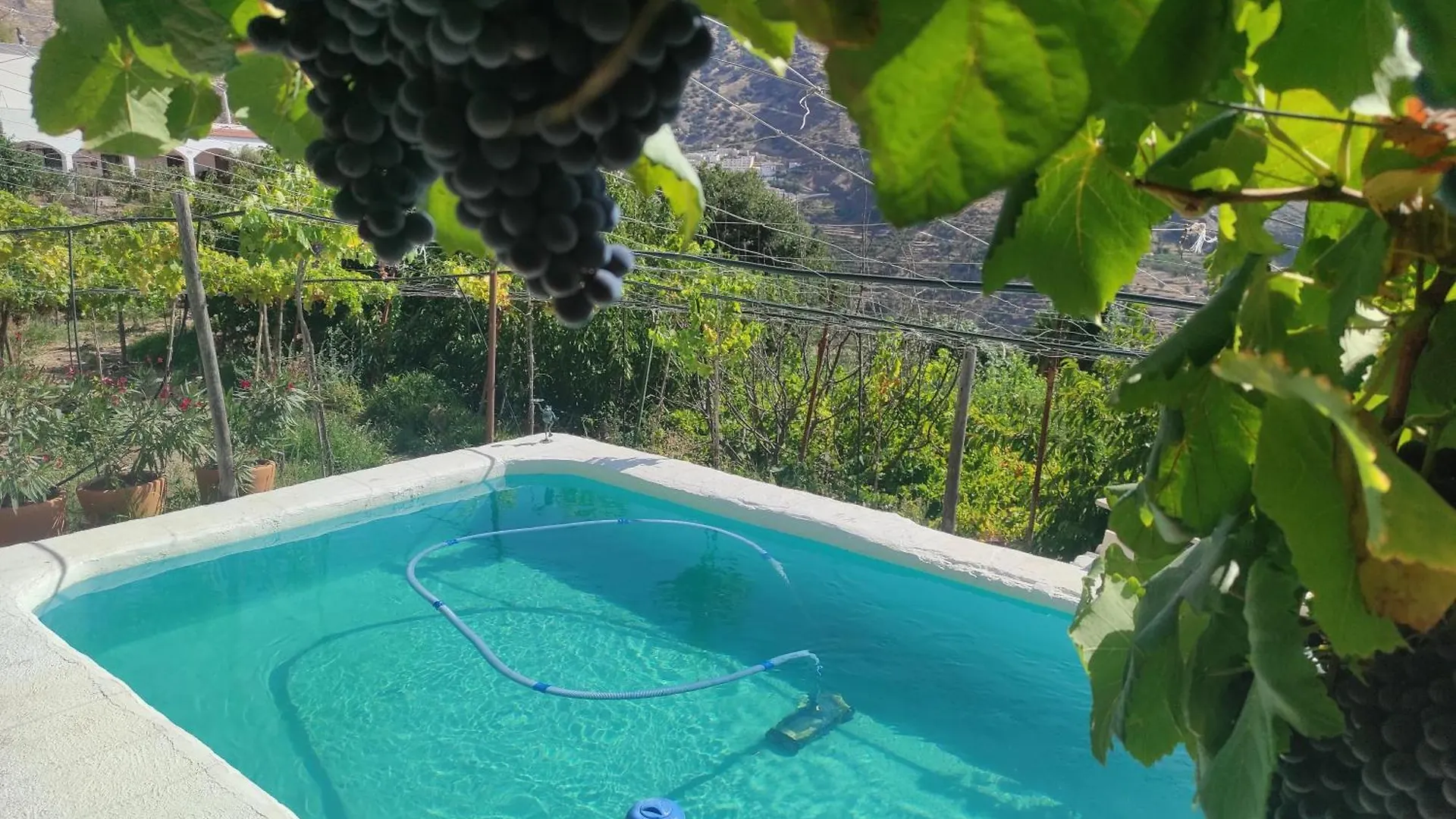 Casa Rural En Ohanes, 1 Dormitorio - El Cortijo Escondido, La Rosa